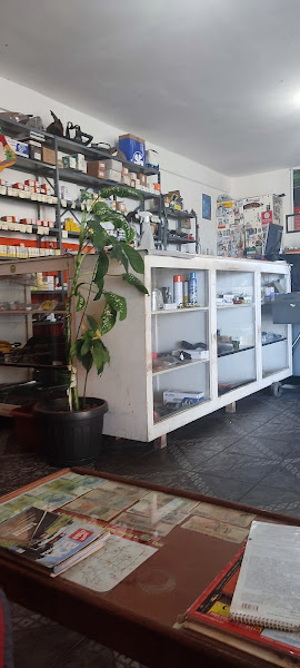 Foto 1 Auto Eletrica