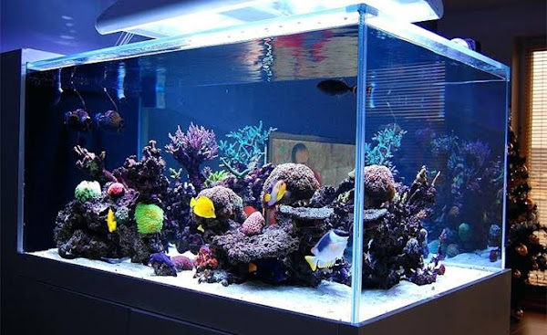 Foto 1 Vert Vidraçaria