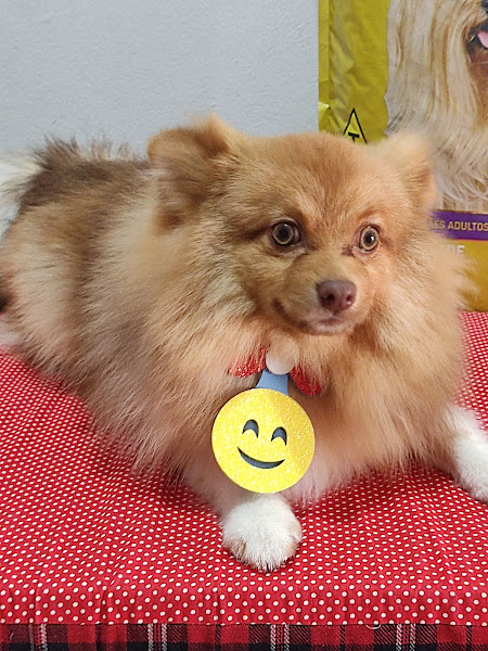 Agropecuária Nutripets Agropecuária Nutripets