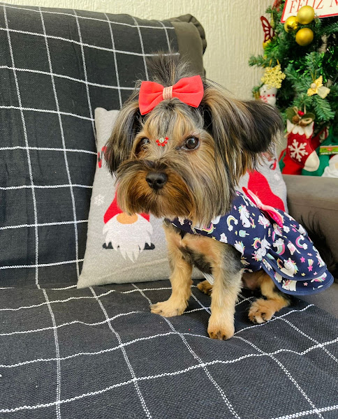 Agro Veterinária Mundo Animal