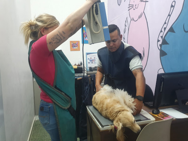 Foto 7 CLÍNICA VETERINÁRIA AGROSHOP