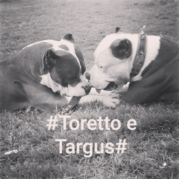 Foto 4 Consultório veterinário e Boutique Dupet