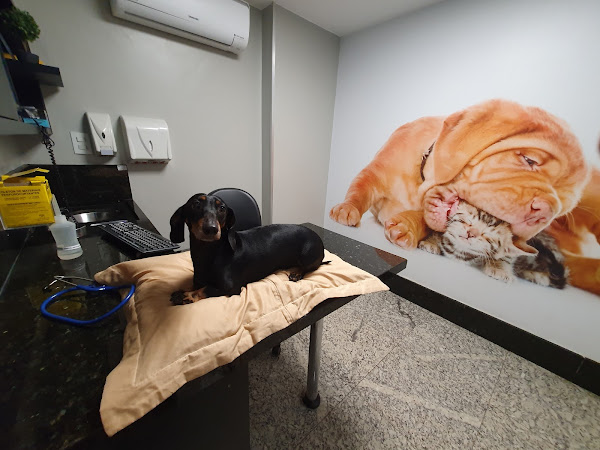 Clínica Veterinária Tabanez Asa Norte: Check Up Pet, Emergência Pet Brasília DF