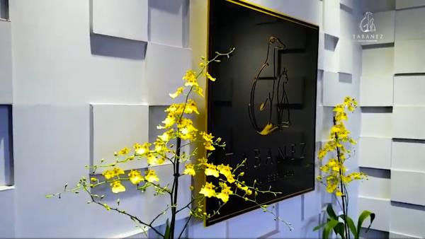 Foto 1 Clínica Veterinária Tabanez Asa Norte: Check Up Pet, Emergência Pet Brasília DF