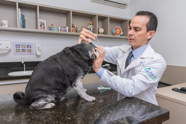 Foto 2 Doctor Vet - Núcleo de Especialidades Veterinárias