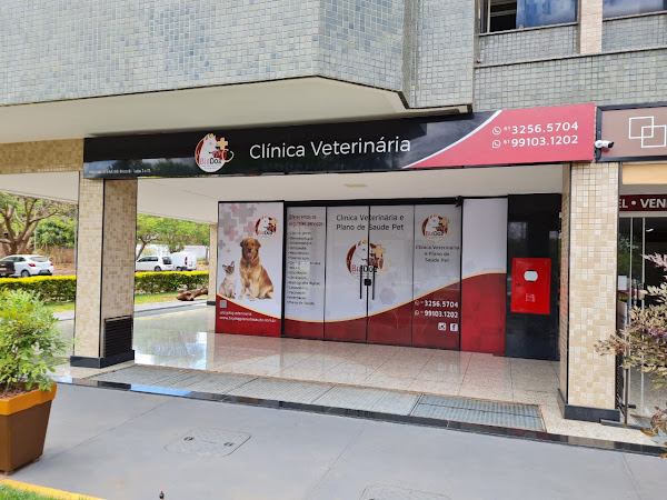 Big Dog Clínica Veterinária - Octogonal