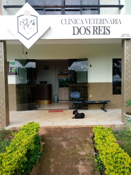 Foto 3 Clínica Veterinária dos Reis Foto 3 Clínica Veterinária dos Reis
