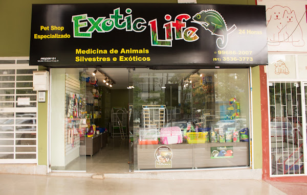 Foto 3 Exotic Life - Clínica Vet exclusiva para animais silvestres e exóticos. - NOVO ENDEREÇO!