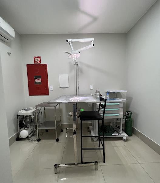 Foto 4 Exotic Life - Clínica Vet exclusiva para animais silvestres e exóticos. - NOVO ENDEREÇO!