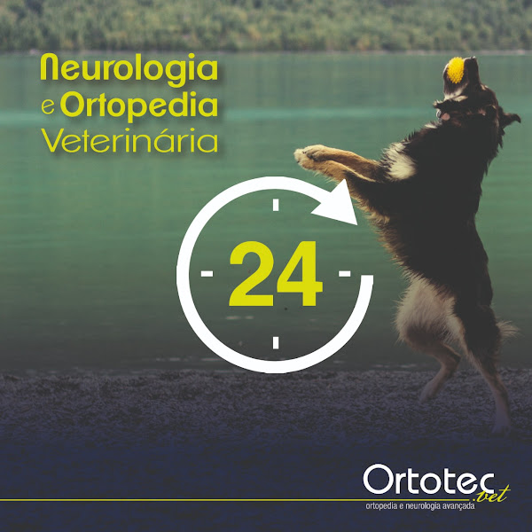 Ortotec.vet - Ortopedia e Neurologia Veterinária Avançada