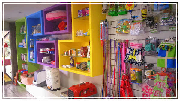 Foto 1 Catus Centro Veterinário