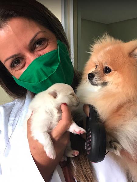 Foto 1 Clinica Vet & Pet