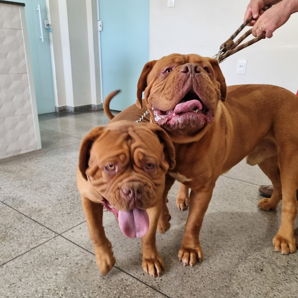 Complexo Veterinário Park Sul