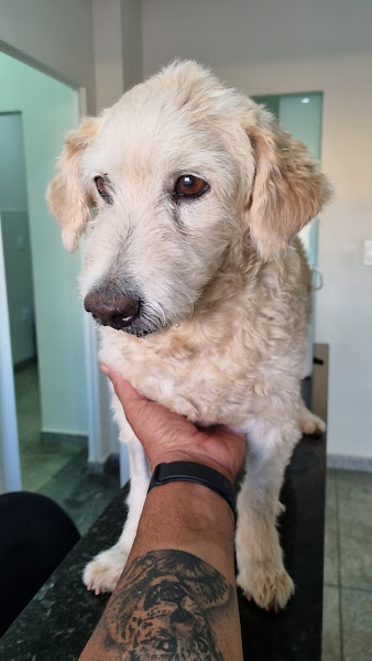 Foto 1 Complexo Veterinário Park Sul