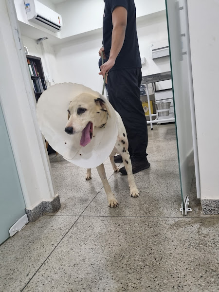 Foto 2 Complexo Veterinário Park Sul