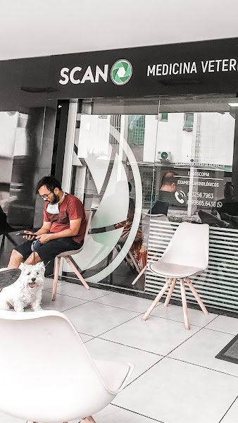 Foto 5 Scan - Octogonal