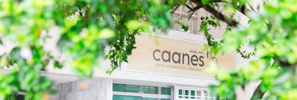 Caanes Acupuntura Veterinária