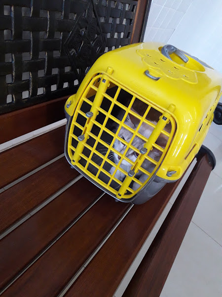 Centro Veterinário da Visão Centro Veterinário da Visão