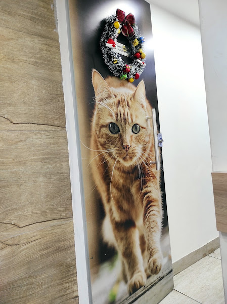 Foto 1 Clínica Veterinária na Asa Norte 24 Horas - Movimento Animal Asa Norte