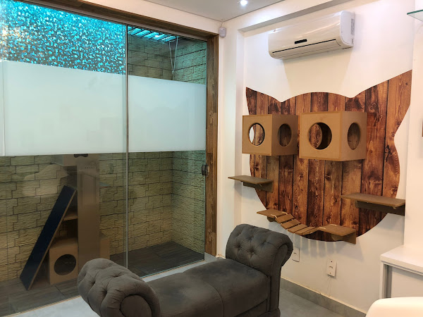 Foto 2 OdontoZoo - Odontologia Veterinária