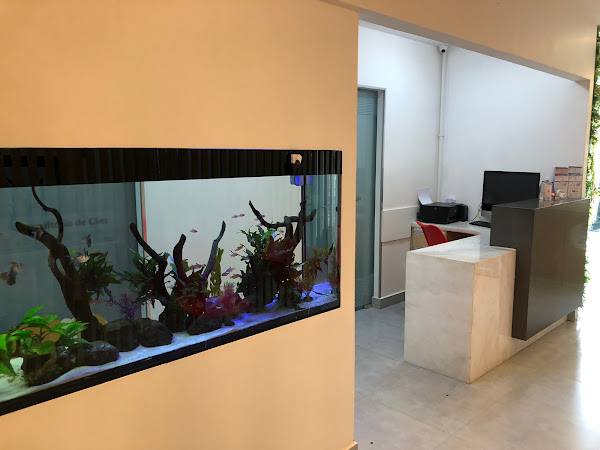 Foto 3 OdontoZoo - Odontologia Veterinária