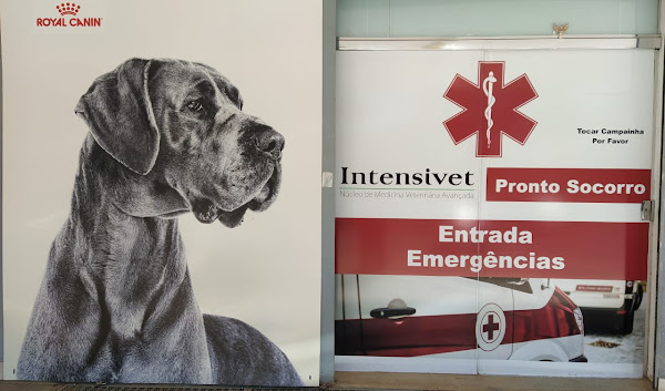 Clinica Veterinária Intensivet