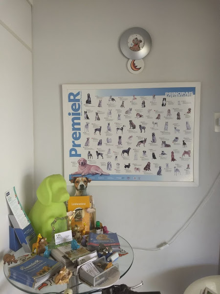 Foto 1 Del Campo Vet