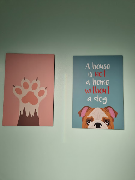 Foto 5 DOM ANIMAL CENTRO CLÍNICO E ESTÉTICA ANIMAL