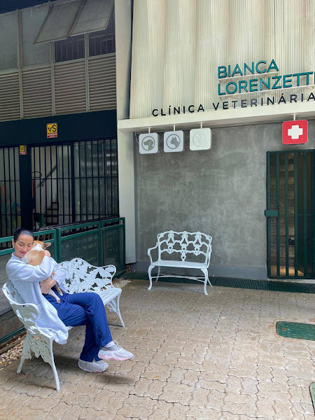 Clínica Veterinária Bianca Lorenzetti Asa Sul: Veterinário em Brasília DF