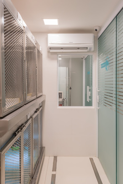 Foto 1 Clínica Veterinária Bianca Lorenzetti Asa Sul: Veterinário em Brasília DF