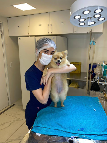 Foto 3 Clínica Veterinária Bianca Lorenzetti Asa Sul: Veterinário em Brasília DF