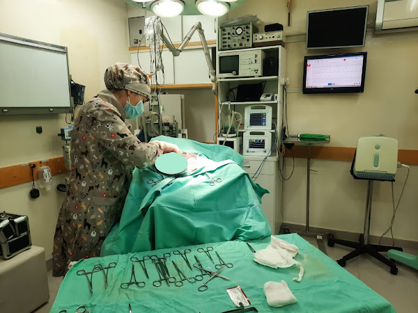 CIAVE Clínica Veterinária