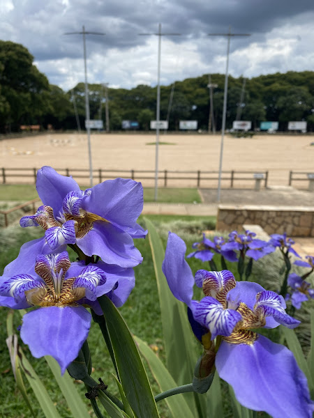 Foto 2 Laboratório Veterinário Santé