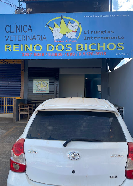 Foto 1 Clínica Veterinária Reino dos Bichos