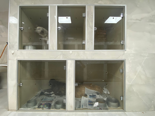 Foto 4 Clínica Veterinária Reino dos Bichos