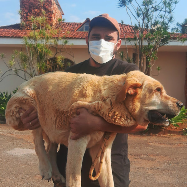 Foto 5 Clínica Veterinária Reino dos Bichos