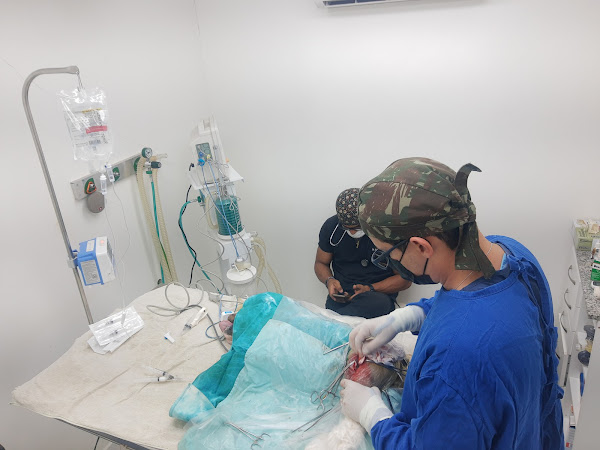 Foto 2 Clinica Veterinária Tribo Do Cão