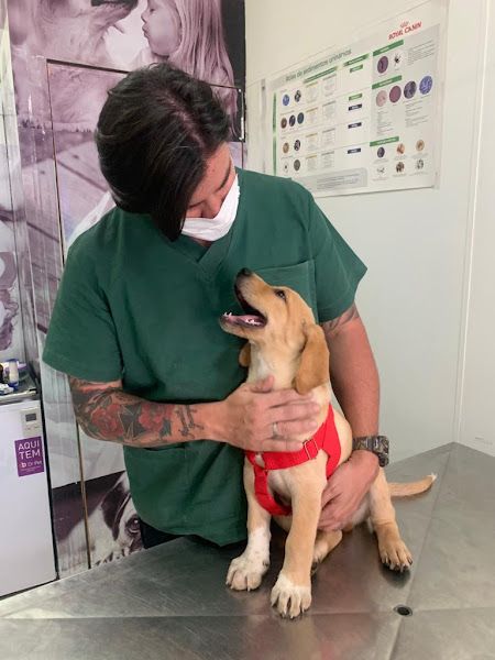 Foto 1 WVET Clínica Veterinária Foto 1 WVET Clínica Veterinária