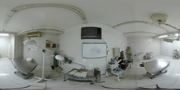 Foto 2 Hospital Veterinário Arca de Noé