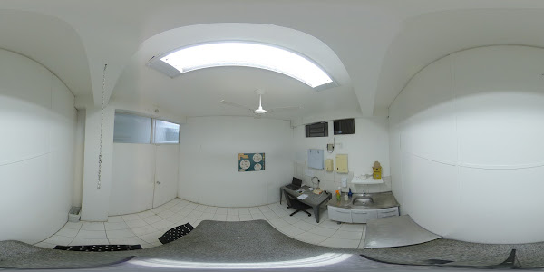 Foto 6 Hospital Veterinário Arca de Noé