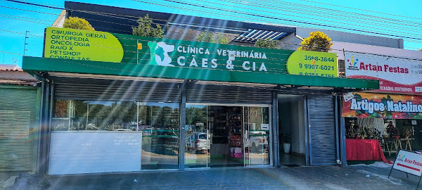 Foto 3 Clínica Veterinária Cães e Cia