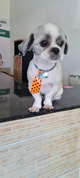 Clínica Veterinária Amigos e Pets