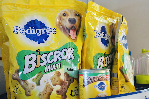 Foto 1 Clínica Veterinária Bueno