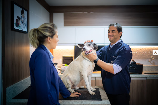 Foto 1 CEV Brasília