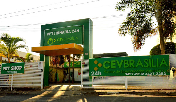 Foto 2 CEV Brasília