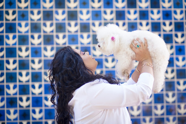 Metabolize Pet - endocrinologia veterinária