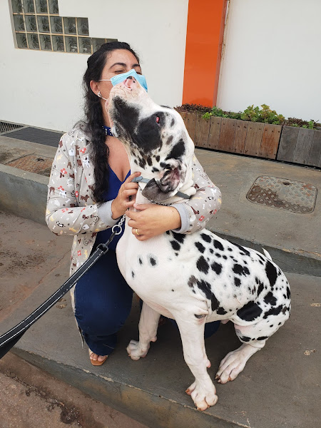 Foto 1 Metabolize Pet - endocrinologia veterinária