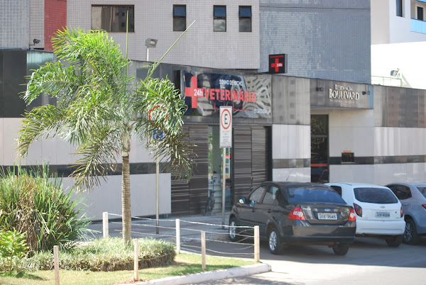 Foto 2 Veterinária 24h Sonho de Bicho