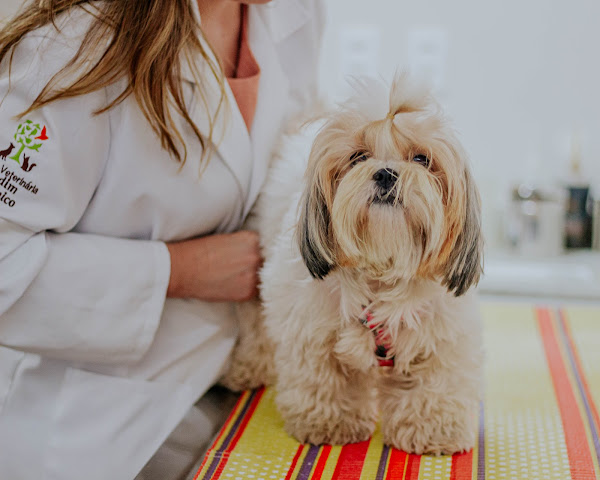 Clínica Veterinária Jardim Botânico