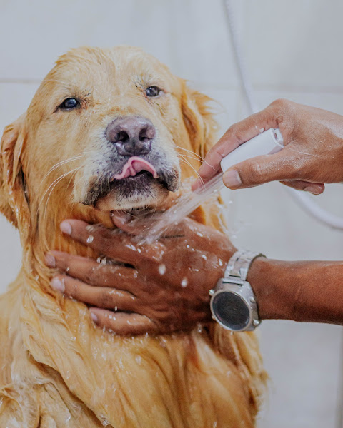 Foto 1 Clínica Veterinária Jardim Botânico